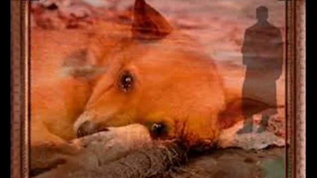 Стихотворение о Рыжей дворняге смотреть онлайн