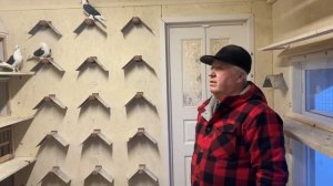 Бойные Голуби?В гостях у Василича!Чебаркульские голуби и много чего интересного! #бойныеголуби