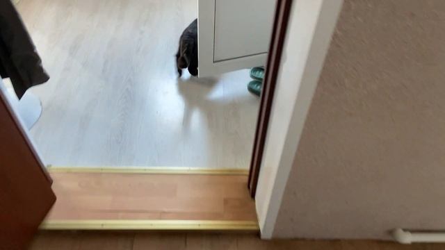 После улицы аппетит отменный ?