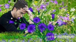 «Я любил одну милую...» Замечательная песня из фильма «Стряпуха»