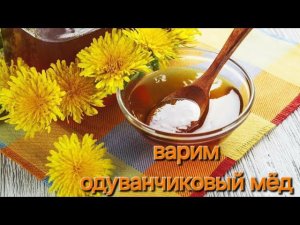 КАК СВАРИТЬ МЁД ИЗ ОДУВАНЧИКОВ? | одуванчиковое варенье