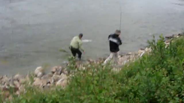 Salmon fishing in Lakselv Norway смотреть онлайн