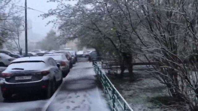 Снег в Москве 11 мая 2017 г. А до лета 20 дней! смотреть онлайн