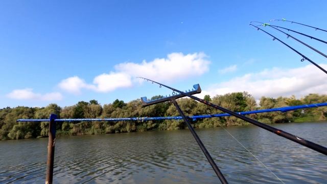 Рыбалка в сентябре / Клев карпа / 24 часа на рыбалке смотреть онлайн