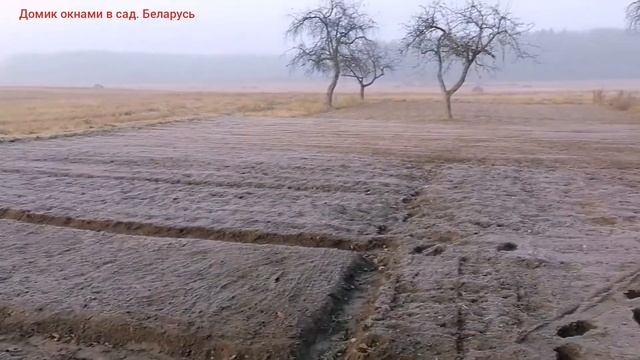 Посадили лук, чеснок, морковь/Фрезой по огороду.(55) смотреть онлайн