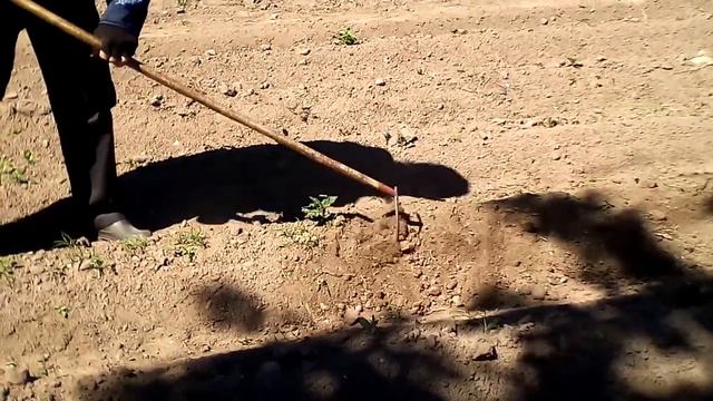 Мечта дачника. смотреть онлайн