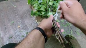 как быстро вязать берёзовые веники , полезный совет.