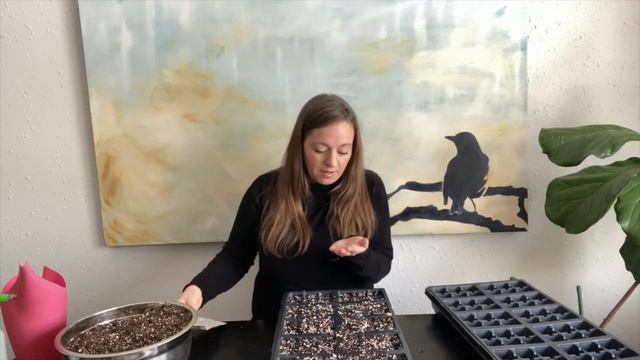 Starting Celery From Seed смотреть онлайн