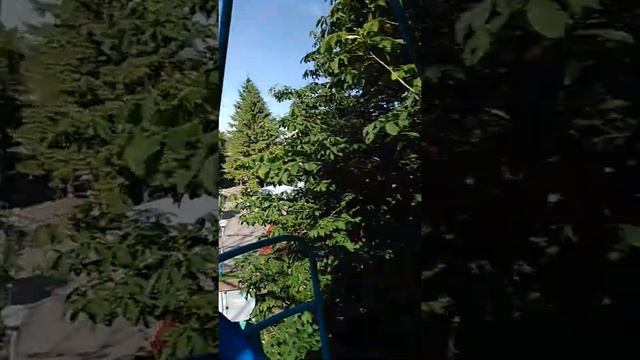 Колесо обозрения в Орле смотреть онлайн