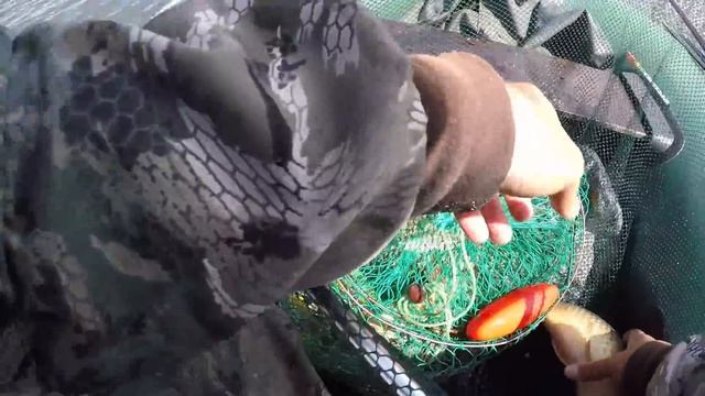 Треустановские карпуши рвут 0,45 леску. За карпом в июне на Треустан. смотреть онлайн