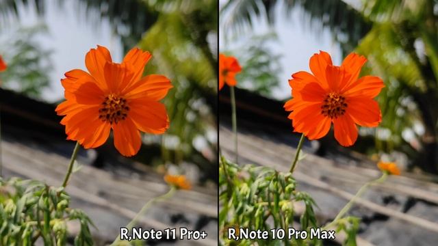 Redmi Note 11 Pro Plus VS Redmi Note 10 Pro Max Camera Comparison | Note 11 Pro Plus Camera Review смотреть онлайн