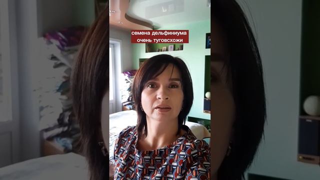 СЕМЕНА ДЕЛЬФИНИУМА ХРАНИМ В ХОДОДИЛЬНИКЕ #дельфиниум смотреть онлайн