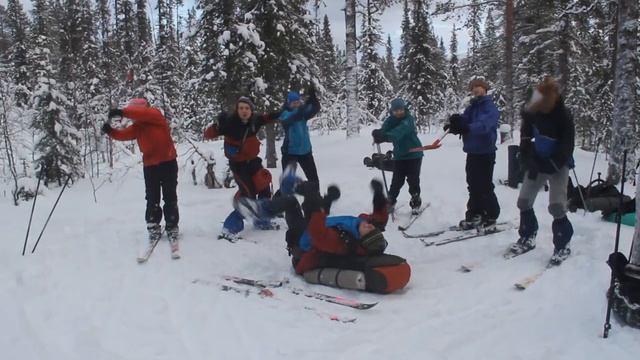 harlem shake hibiny смотреть онлайн