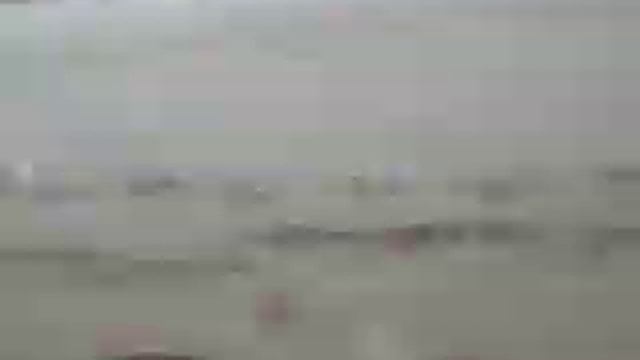 Clydesdale heavy horses during beach gallop смотреть онлайн