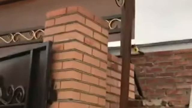 ХОЛОДНАЯ КОВКА ВОРОТА,НАВЕСЫ,ОГРАДЫ,БЕСЕДКИ,РЕШЕТКИ И МНОГОЕ ДРУГОЕ. смотреть онлайн