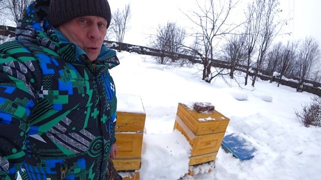 ЗИМОВКА ПЧЁЛ НА ВОЛЕ В УЛЬЯХ ППУ И ДЕРЕВЯННЫХ РУТАХ, ФЕВРАЛЬ СОСТОЯНИЕ КЛУБОВ ПЧЁЛ.??? смотреть онлайн