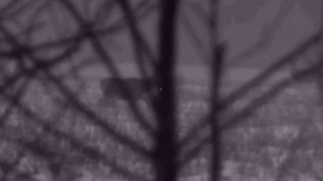 благородные олени. Мозырский район 2022г. pulsar. смотреть онлайн