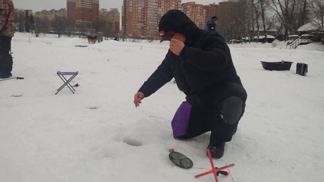 30.01.22 Ежедневный запуск форели КРХ Белая Дача! 237 кг.! смотреть онлайн