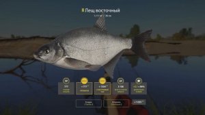 Доночная Ловля 100% • Быстрая прокачка! • Открыли ПВА • В чем секрет? • Русская Рыбалка 4 #61