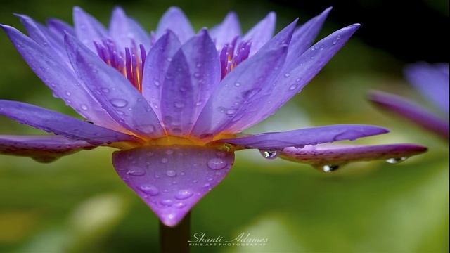 Абрахам Хикс - (Поднимаем Настроение) - Мне нравиться чувствовать себя хорошо - Эстер Хикс смотреть онлайн