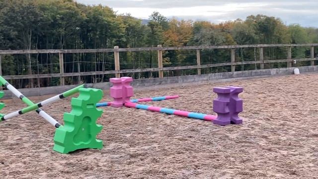 JUMPING BOUNCES WITH THE PONIES (pre eventing training) ~ with Bear, Jam and Dee смотреть онлайн