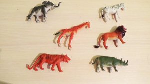 Животные планеты