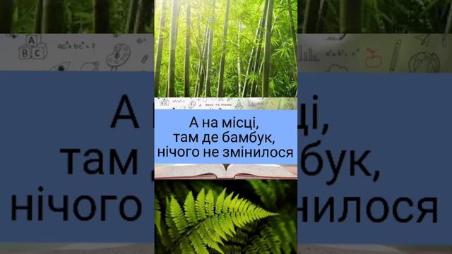 Ти з ким уособлюєшся в притчі про папороть і бамбук? Я - бамбук смотреть онлайн
