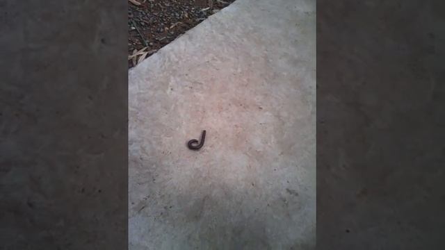 Природа Чудес