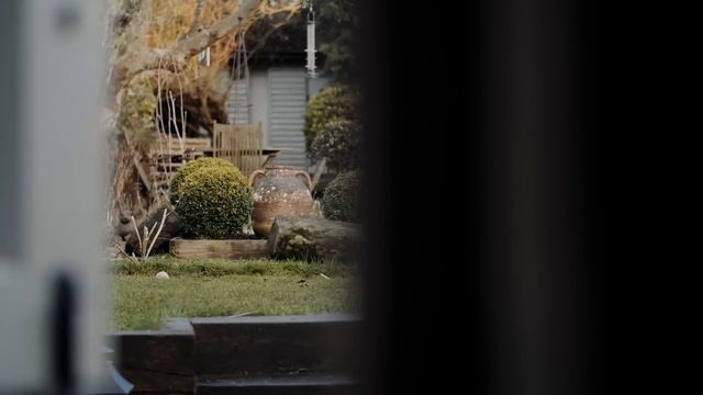 Panasonic Lumix GH5 - Video Test смотреть онлайн