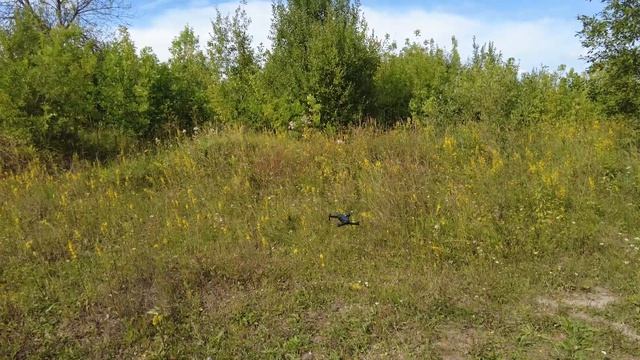 Квадрокоптер с камерой, ZLRC SG107 тест на природе смотреть онлайн