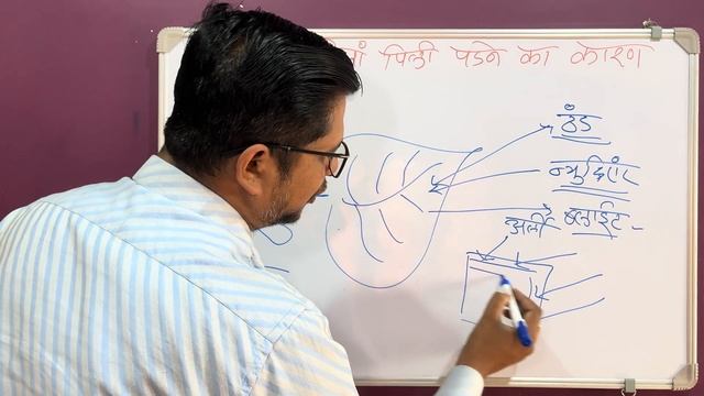 ठंड में पत्तीया पिली पडने का कारन । winter ? crop management | leaf yellowness смотреть онлайн