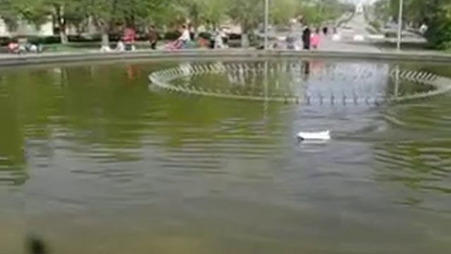 RC Boat "Mad tadpole" смотреть онлайн