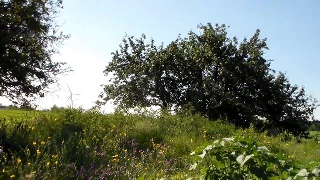 На море с палаткой. Бюджетный отдых в кемпинге. смотреть онлайн