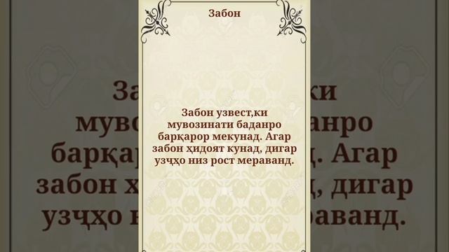 Сухан дар бораи забон смотреть онлайн