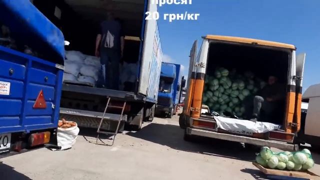 Цены на рынке в Копанях в 15-00 - 18 мая 2020 года смотреть онлайн