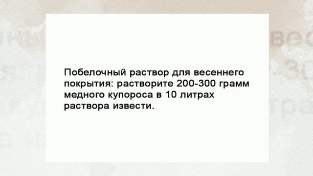 Чем белят стволы деревьев? смотреть онлайн