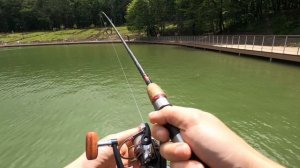 Бешеный клёв голодной рыбы! На Комсомольском пруду в Ставрополе.