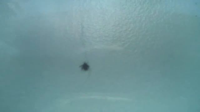 Строительный Дневник