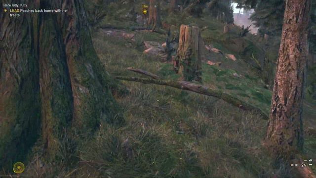 Far Cry 5 Walkthrough #17 Here kitty , kitty . смотреть онлайн