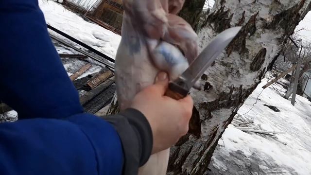 Как снять шкуру с кролика. Слабонервным не смотреть смотреть онлайн