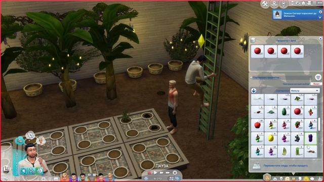 Династия Мак-Фери #103 смотреть онлайн