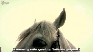 Поразительное на каждом шагу 2 сезон 7 серия