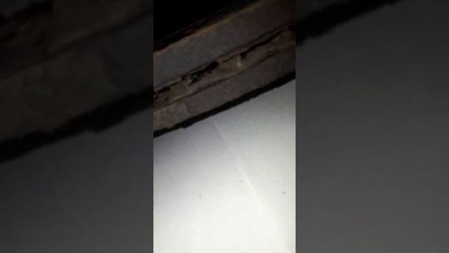 Смотри не пожалеешь . Диск тормозной. смотреть онлайн