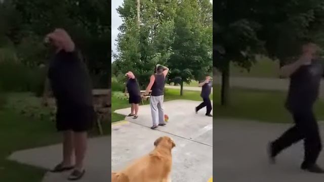 выпили.mp4 смотреть онлайн