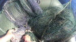 Рыбалка неводом около устья речки| первый заброс летом