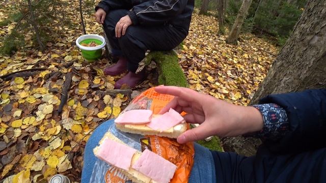 по грибы в лес 12 окт 2022 подтопольники и зимние смотреть онлайн