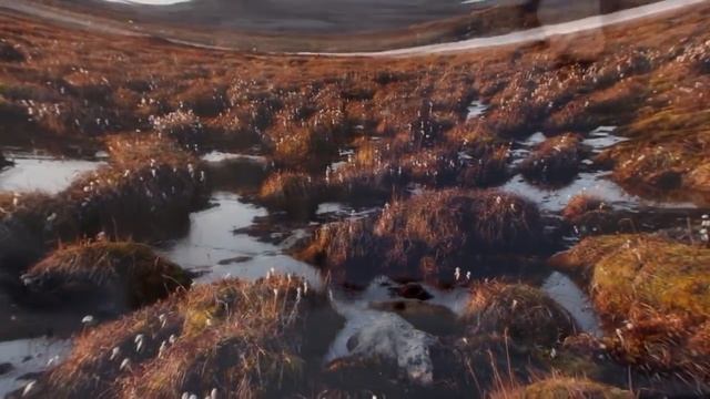 АРКТИКА. 7 УДИВИТЕЛЬНЫХ ФАКТОВ ОБ АРКТИКЕ