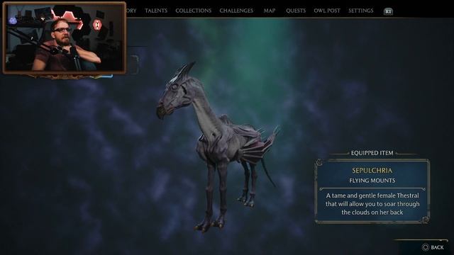 HOGWARTS LEGACY Gameplay | E25