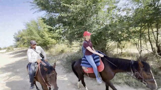 2022 Кыргызстан Лошадки смотреть онлайн