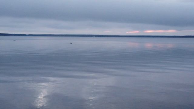 Video №151. Пролив Бьеркезунд. Приморск. Городской пляж.02.01.2021 Slowmo смотреть онлайн